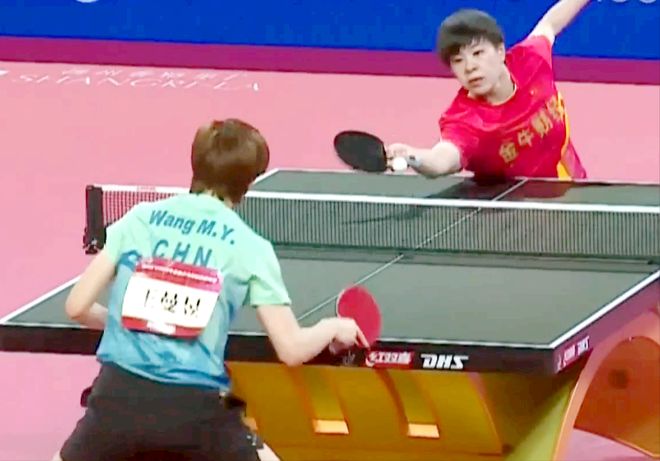 不仅展示了 不仅展示了