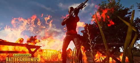 肌肉纤维比 肌肉纤维比